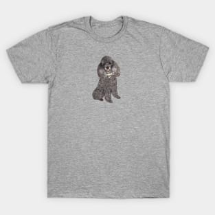 A  Silver Toy or Miniature Poodle - Just the Dog T-Shirt